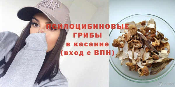 apvp Осинники